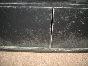 Humidity mold growth on an entertainment center