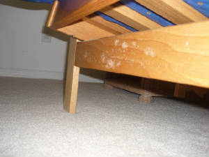 mold growth on bed frame
